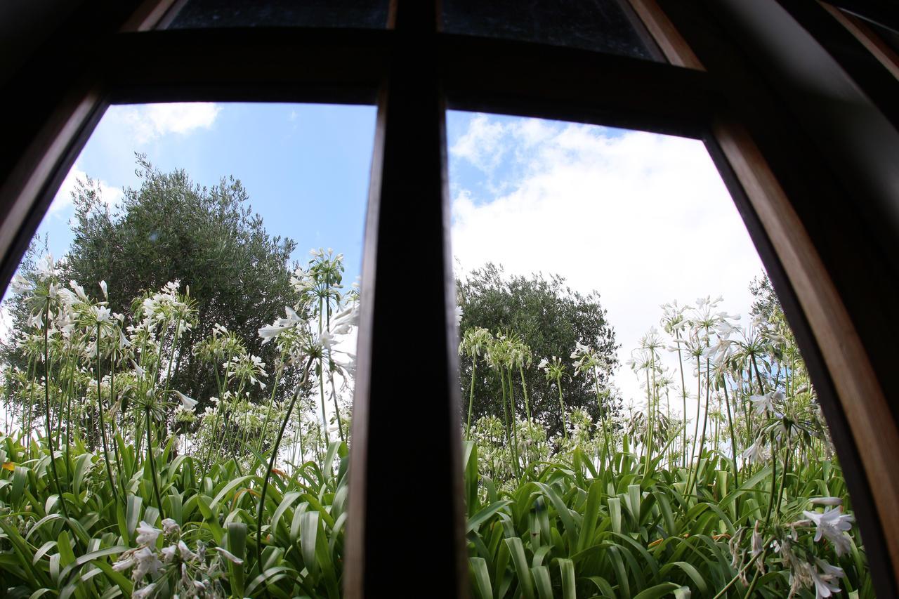 เดอะ ไวน์ยาร์ด คอตเทจ คูเมอุ Hotel Waimauku ภายนอก รูปภาพ